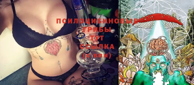 Псилоцибиновые грибы Magic Shrooms  Дюртюли 